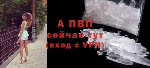 mdpv Новодвинск