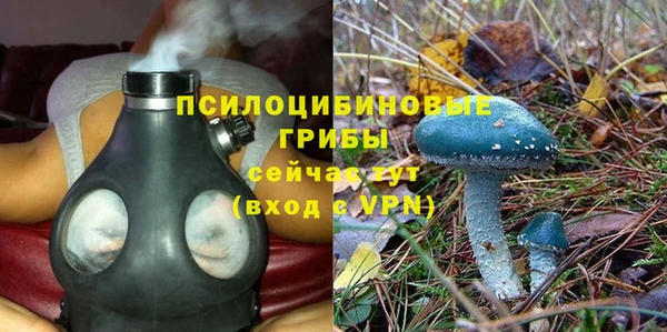 круглые Аркадак