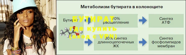 крисы Новозыбков