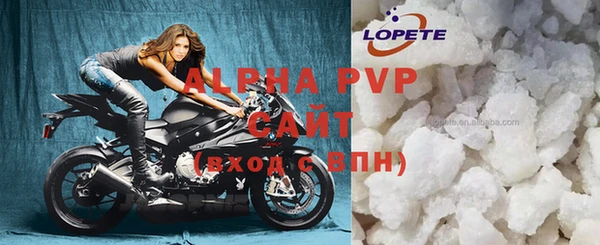 крисы Новозыбков