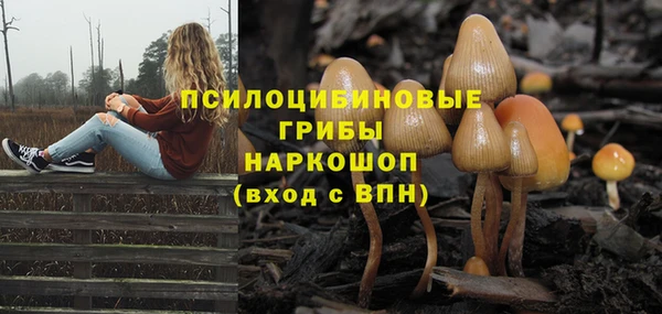 PSILOCYBIN Новокубанск