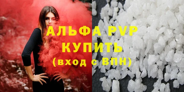 крисы Новозыбков