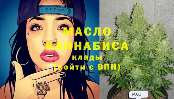 крисы Новозыбков
