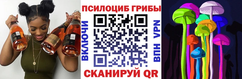 KRAKEN зеркало Пучеж Галлюциногенные грибы MAGIC MUSHROOMS где продают