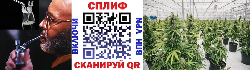 Марихуана тримм  Пучеж 